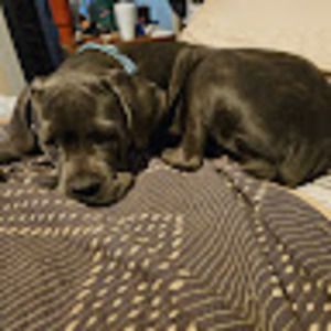 Meet your Posher, Kay